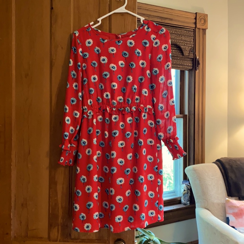 J.Crew long sleeve dandelion print dress